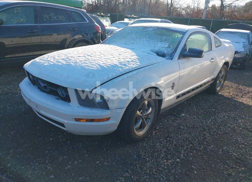 Photo 2 of 2006 Ford Mustang V6 (VIN 1ZVHT80N265180594)