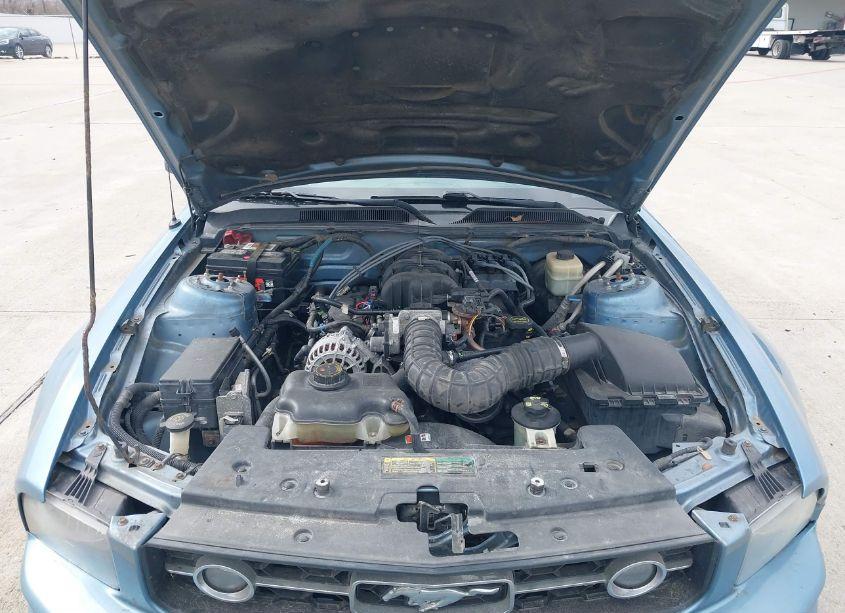 Photo 10 of 2008 Ford Mustang V6 DELUXE/V6 PREMIUM (VIN 1ZVHT80N285115988)