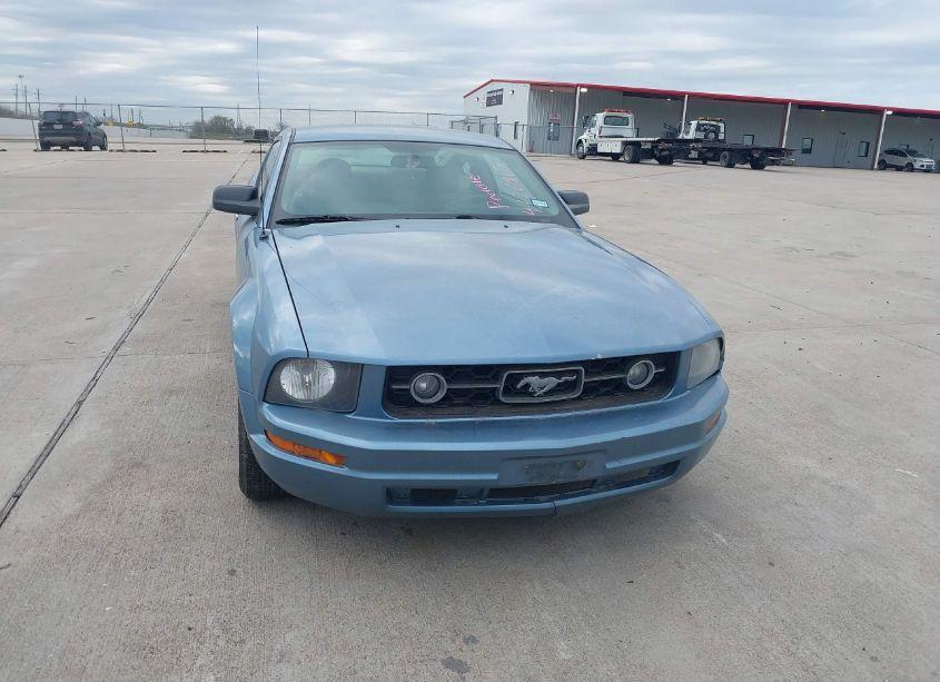 Photo 6 of 2008 Ford Mustang V6 DELUXE/V6 PREMIUM (VIN 1ZVHT80N285115988)