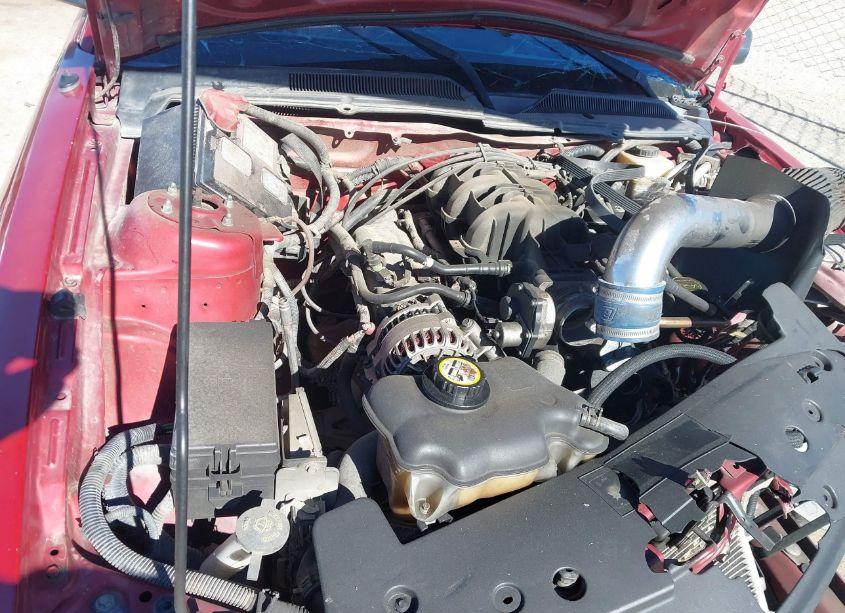 Photo 10 of 2008 Ford Mustang V6 DELUXE/V6 PREMIUM (VIN 1ZVHT80N285150062)