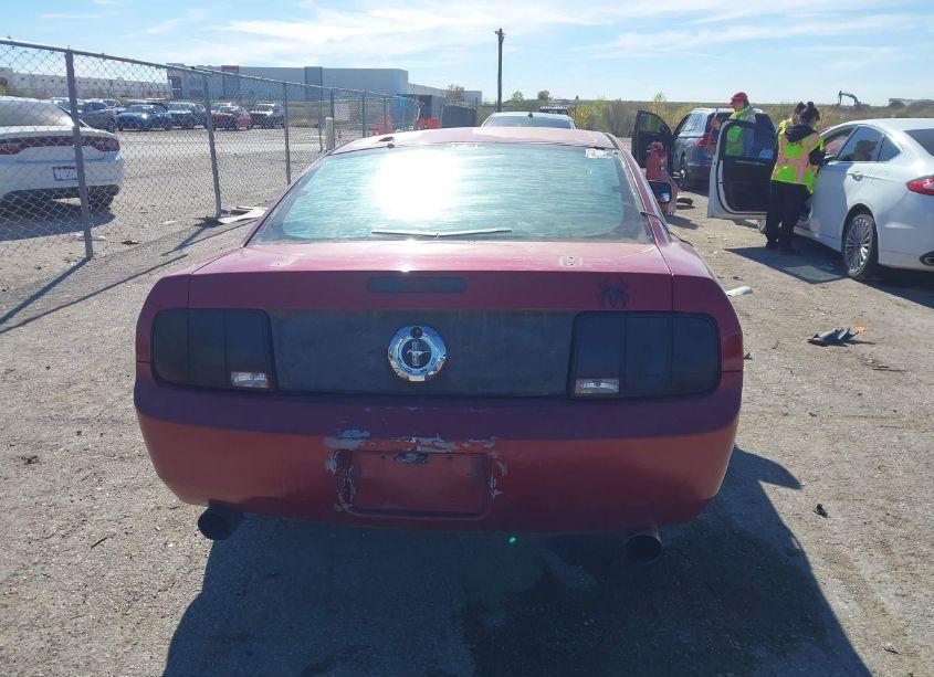 Photo 16 of 2008 Ford Mustang V6 DELUXE/V6 PREMIUM (VIN 1ZVHT80N285150062)