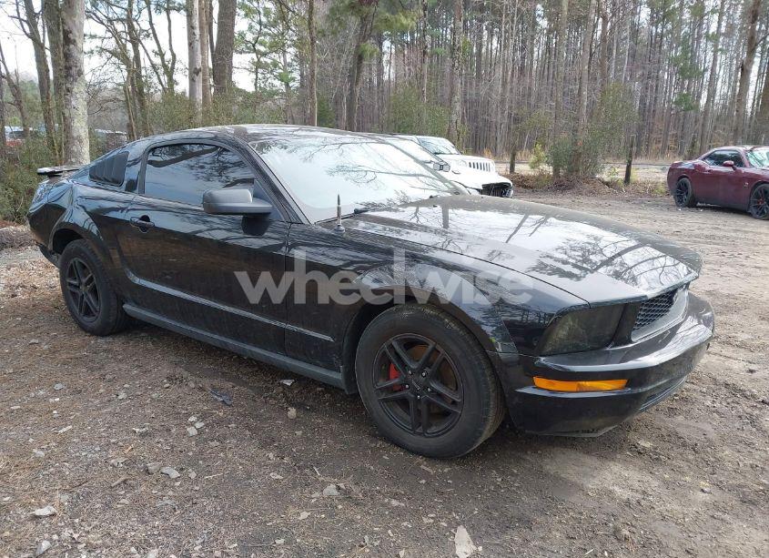 2008 Ford Mustang V6 DELUXE/V6 PREMIUM (VIN 1ZVHT80N285195521) main photo