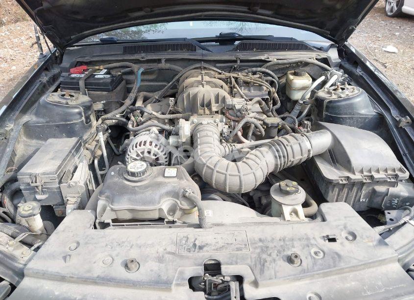 Photo 10 of 2008 Ford Mustang V6 DELUXE/V6 PREMIUM (VIN 1ZVHT80N285195521)