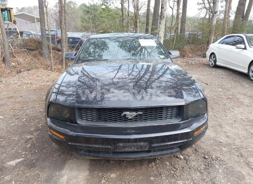 Photo 12 of 2008 Ford Mustang V6 DELUXE/V6 PREMIUM (VIN 1ZVHT80N285195521)
