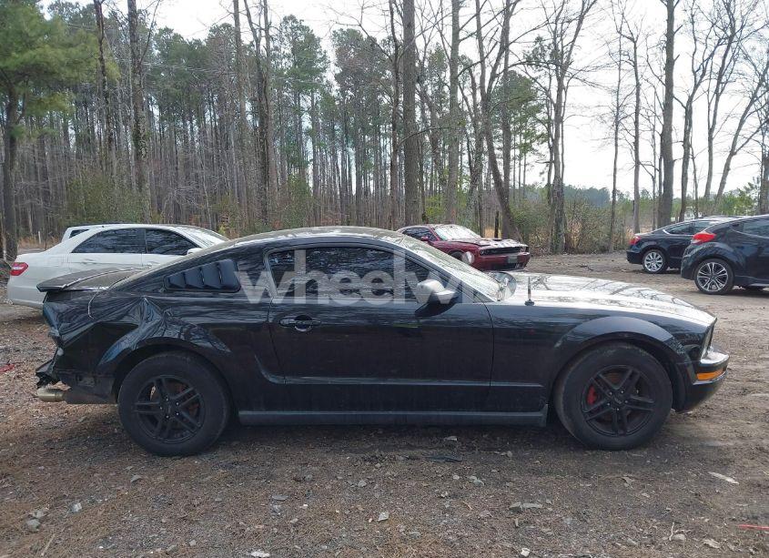 Photo 13 of 2008 Ford Mustang V6 DELUXE/V6 PREMIUM (VIN 1ZVHT80N285195521)