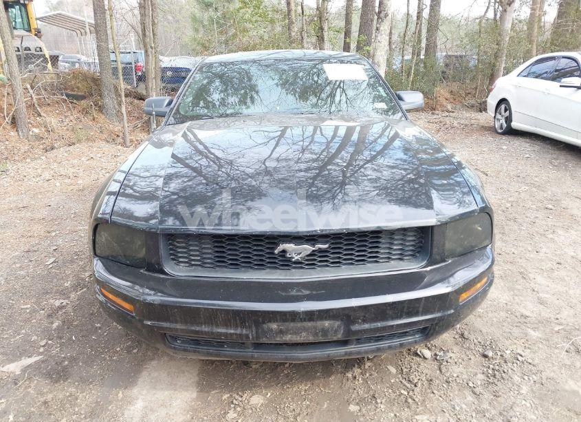 Photo 6 of 2008 Ford Mustang V6 DELUXE/V6 PREMIUM (VIN 1ZVHT80N285195521)