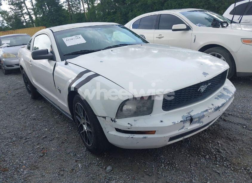 2009 Ford Mustang V6/V6 PREMIUM (VIN 1ZVHT80N295100795) main photo