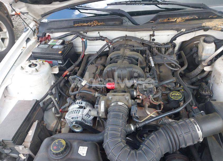 Photo 10 of 2009 Ford Mustang V6/V6 PREMIUM (VIN 1ZVHT80N295100795)