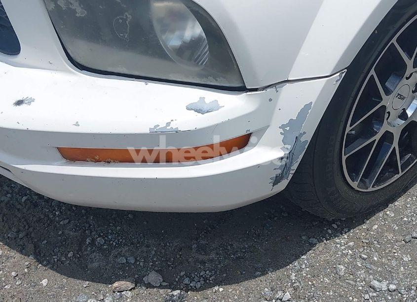 Photo 13 of 2009 Ford Mustang V6/V6 PREMIUM (VIN 1ZVHT80N295100795)