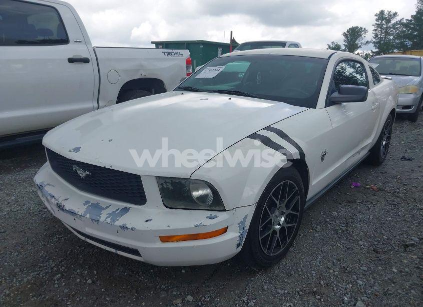Photo 2 of 2009 Ford Mustang V6/V6 PREMIUM (VIN 1ZVHT80N295100795)
