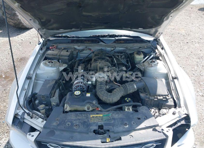 Photo 10 of 2006 Ford Mustang V6 (VIN 1ZVHT80N365131890)