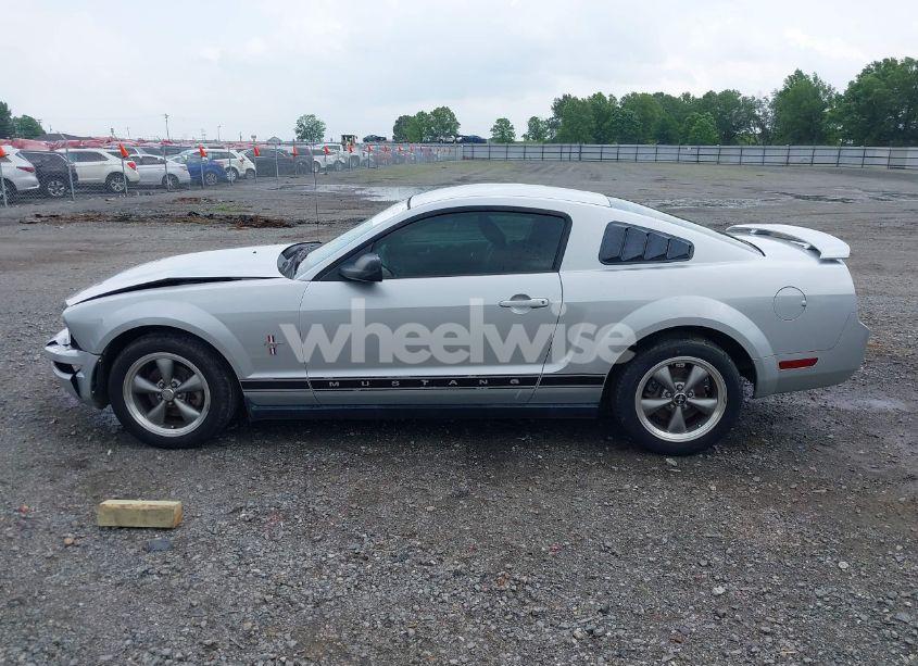Photo 14 of 2006 Ford Mustang V6 (VIN 1ZVHT80N365131890)