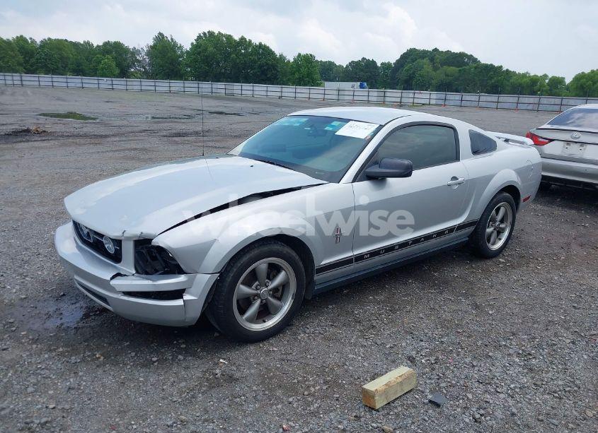 Photo 2 of 2006 Ford Mustang V6 (VIN 1ZVHT80N365131890)