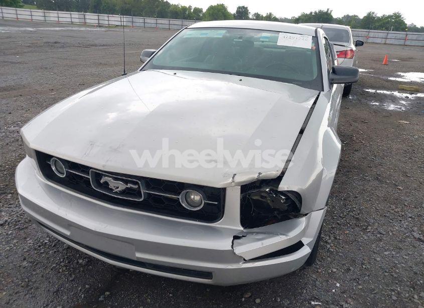 Photo 6 of 2006 Ford Mustang V6 (VIN 1ZVHT80N365131890)