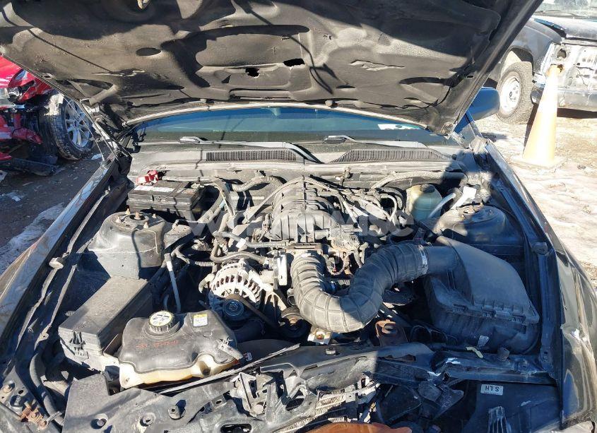 Photo 10 of 2006 Ford Mustang V6 (VIN 1ZVHT80N365160130)