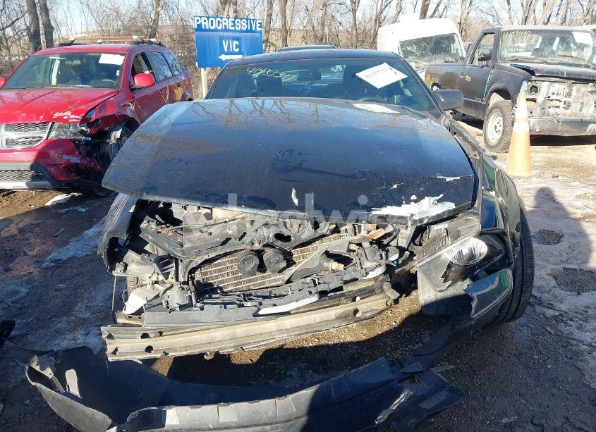 Photo 12 of 2006 Ford Mustang V6 (VIN 1ZVHT80N365160130)