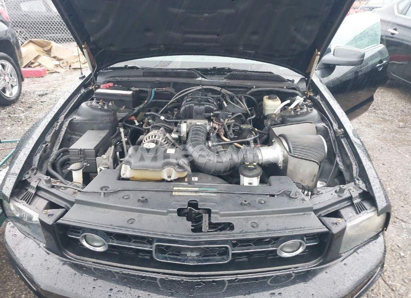 Photo 10 of 2006 Ford Mustang V6 (VIN 1ZVHT80N365265170)