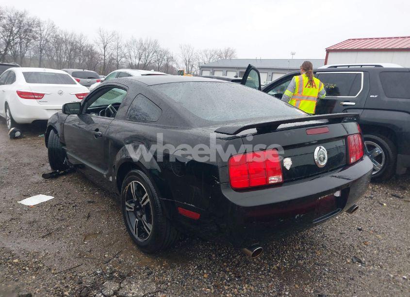Photo 3 of 2006 Ford Mustang V6 (VIN 1ZVHT80N365265170)