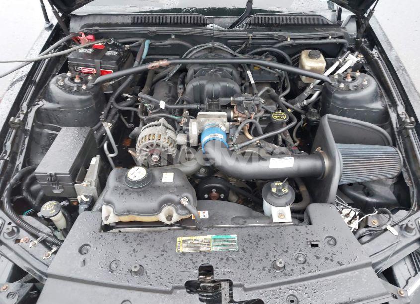 Photo 10 of 2007 Ford Mustang V6 DELUXE/V6 PREMIUM (VIN 1ZVHT80N375320203)