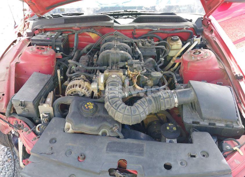 Photo 10 of 2007 Ford Mustang V6 DELUXE/V6 PREMIUM (VIN 1ZVHT80N375338149)