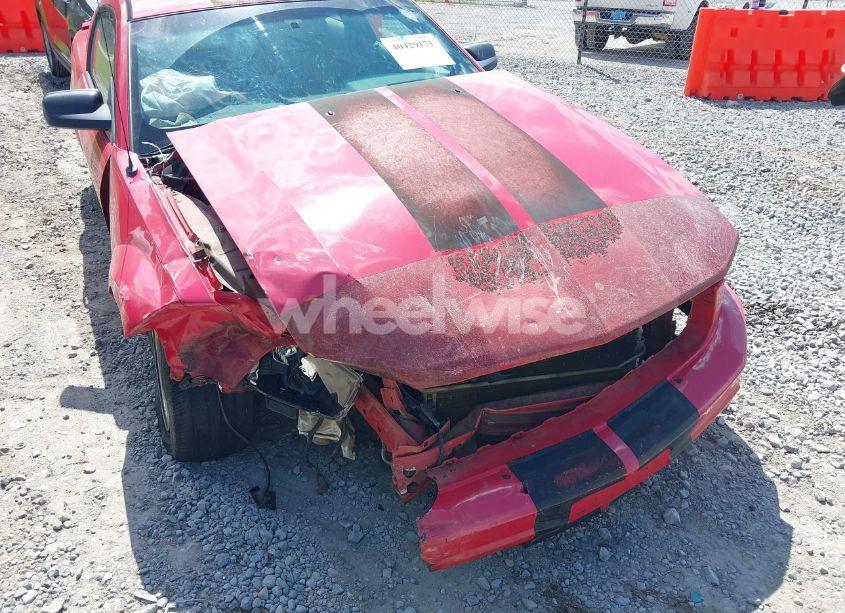 Photo 6 of 2007 Ford Mustang V6 DELUXE/V6 PREMIUM (VIN 1ZVHT80N375338149)