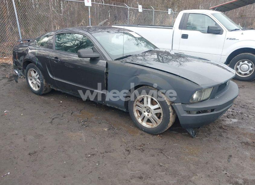 2007 Ford Mustang V6 DELUXE/V6 PREMIUM (VIN 1ZVHT80N375369269) main photo