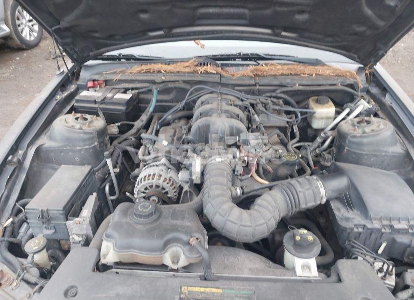 Photo 10 of 2007 Ford Mustang V6 DELUXE/V6 PREMIUM (VIN 1ZVHT80N375369269)