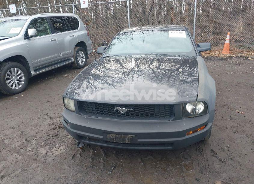 Photo 12 of 2007 Ford Mustang V6 DELUXE/V6 PREMIUM (VIN 1ZVHT80N375369269)