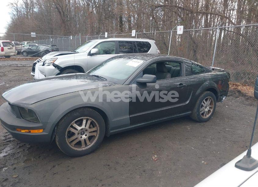 Photo 14 of 2007 Ford Mustang V6 DELUXE/V6 PREMIUM (VIN 1ZVHT80N375369269)