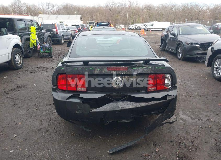 Photo 16 of 2007 Ford Mustang V6 DELUXE/V6 PREMIUM (VIN 1ZVHT80N375369269)