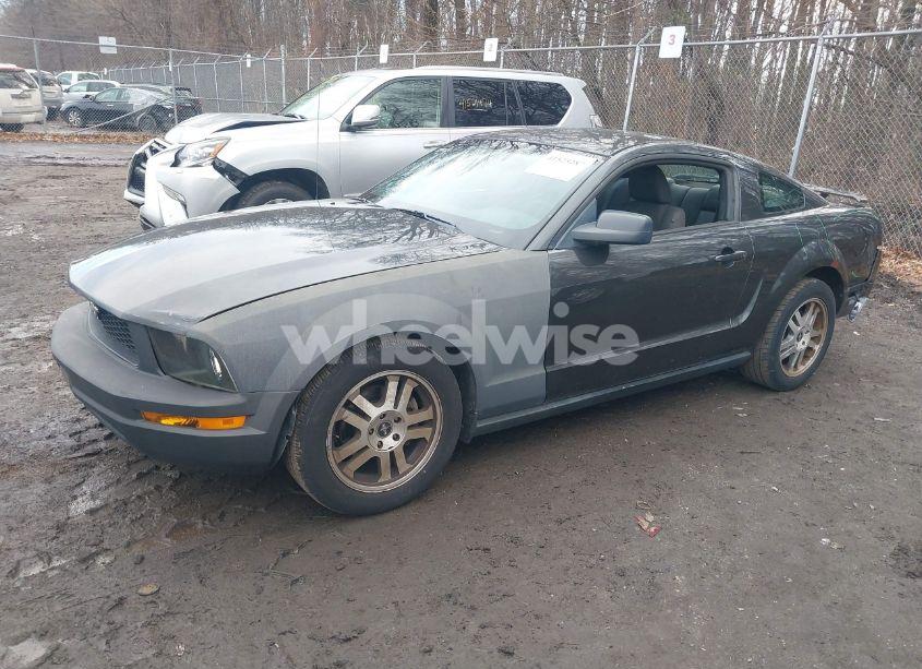 Photo 2 of 2007 Ford Mustang V6 DELUXE/V6 PREMIUM (VIN 1ZVHT80N375369269)