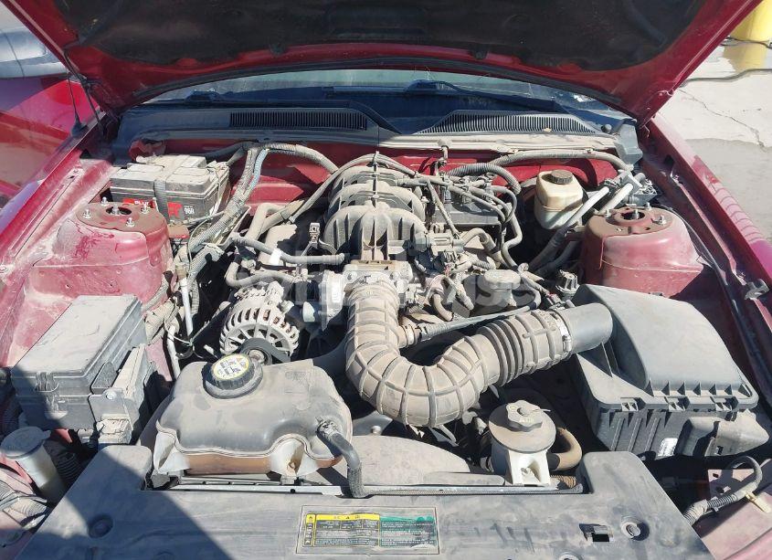 Photo 10 of 2008 Ford Mustang V6 DELUXE (VIN 1ZVHT80N385130015)