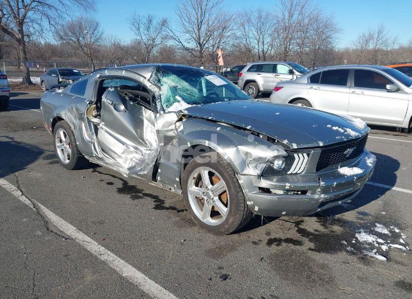 2009 Ford Mustang V6/V6 PREMIUM (VIN 1ZVHT80N395107156) main photo