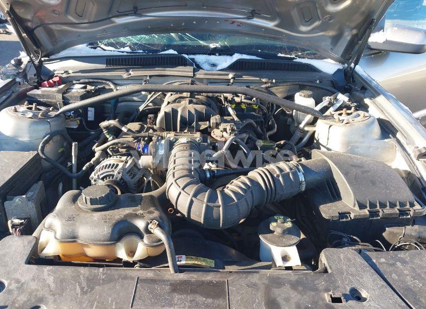 Photo 10 of 2009 Ford Mustang V6/V6 PREMIUM (VIN 1ZVHT80N395107156)