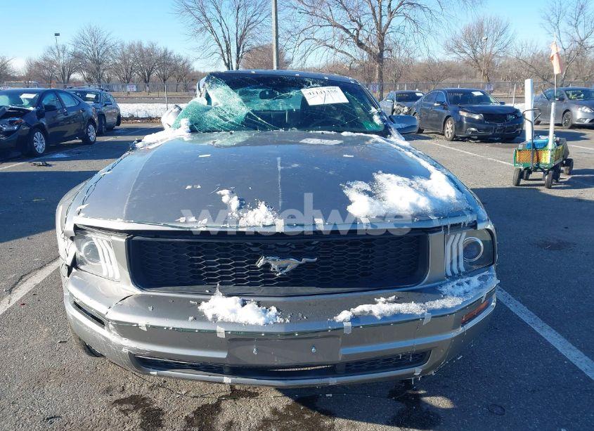 Photo 12 of 2009 Ford Mustang V6/V6 PREMIUM (VIN 1ZVHT80N395107156)