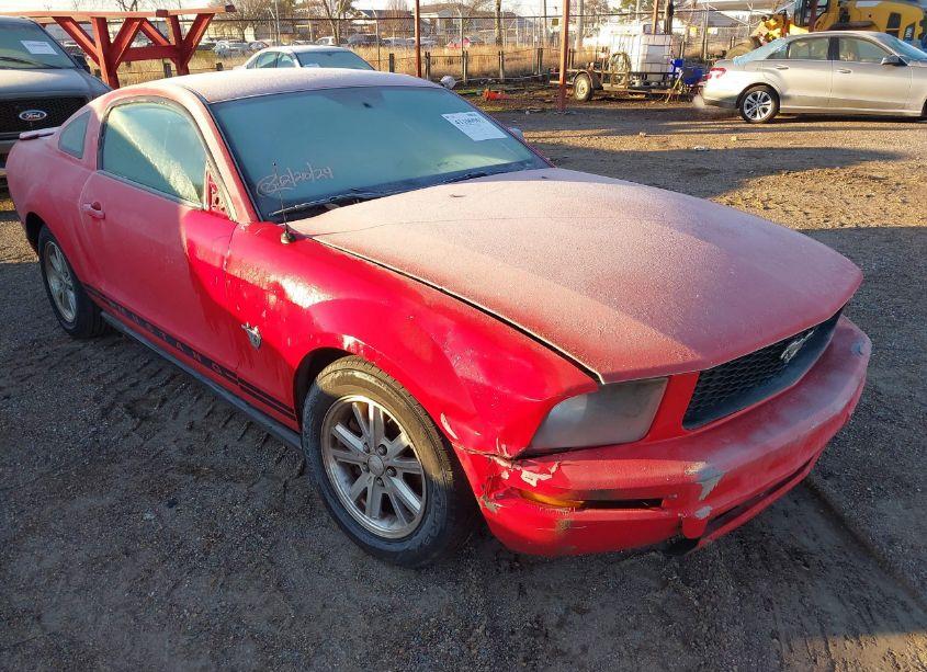 2009 Ford Mustang V6/V6 PREMIUM (VIN 1ZVHT80N395118058) main photo