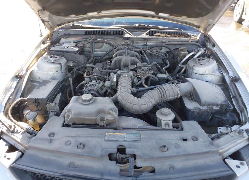 Photo 10 of 2009 Ford Mustang V6/V6 PREMIUM (VIN 1ZVHT80N395139539)