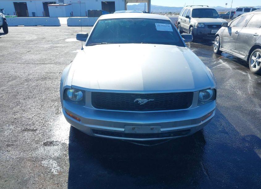 Photo 6 of 2009 Ford Mustang V6/V6 PREMIUM (VIN 1ZVHT80N395139539)