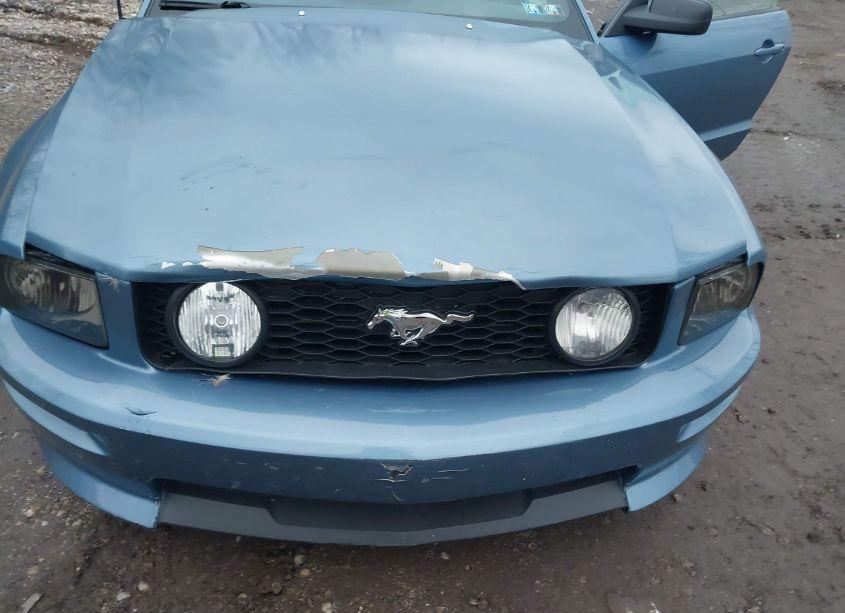 Photo 10 of 2006 Ford Mustang V6 (VIN 1ZVHT80N465117870)