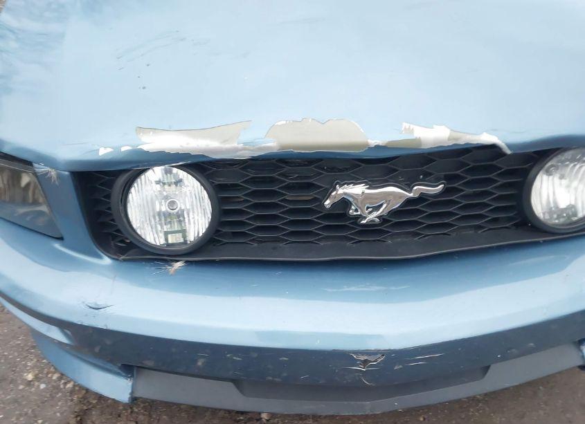 Photo 6 of 2006 Ford Mustang V6 (VIN 1ZVHT80N465117870)