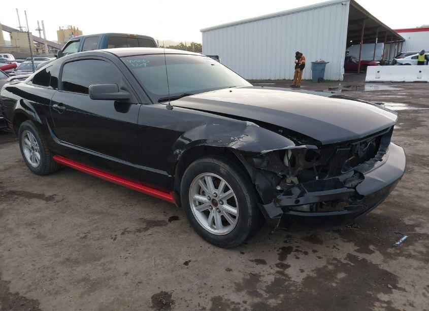 2006 Ford Mustang V6 (VIN 1ZVHT80N465118548) main photo
