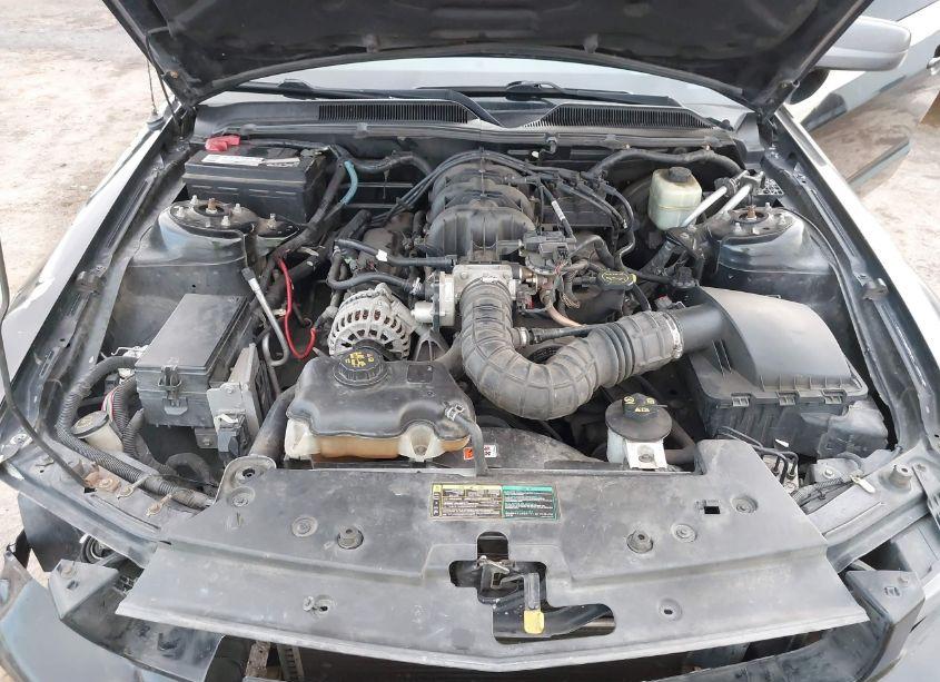 Photo 10 of 2006 Ford Mustang V6 (VIN 1ZVHT80N465118548)