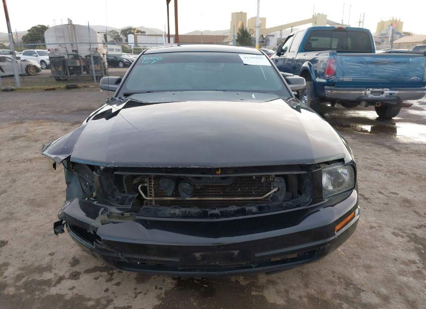 Photo 12 of 2006 Ford Mustang V6 (VIN 1ZVHT80N465118548)