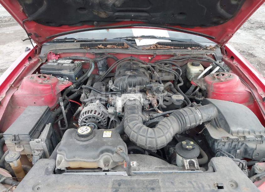 Photo 10 of 2006 Ford Mustang V6 (VIN 1ZVHT80N465163375)