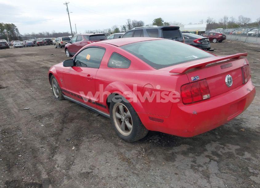 Photo 3 of 2006 Ford Mustang V6 (VIN 1ZVHT80N465163375)