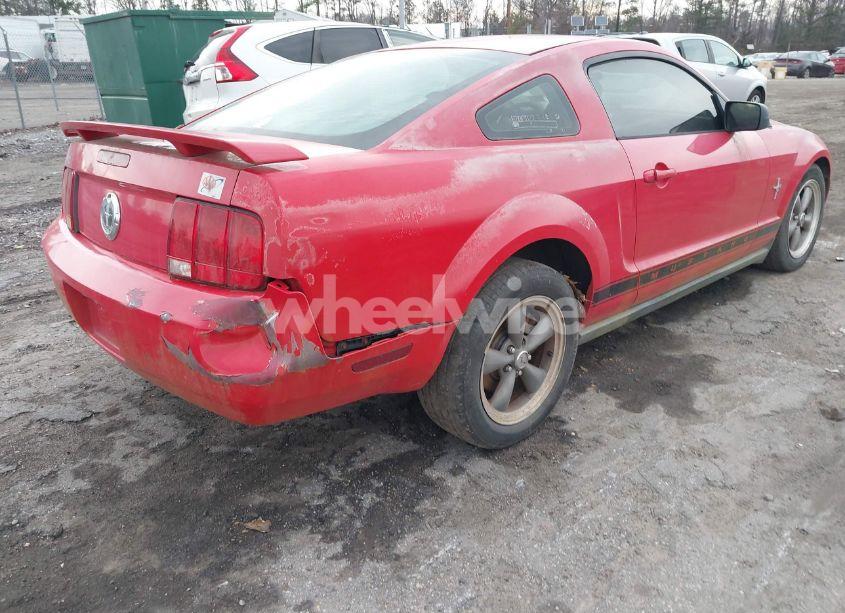 Photo 6 of 2006 Ford Mustang V6 (VIN 1ZVHT80N465163375)
