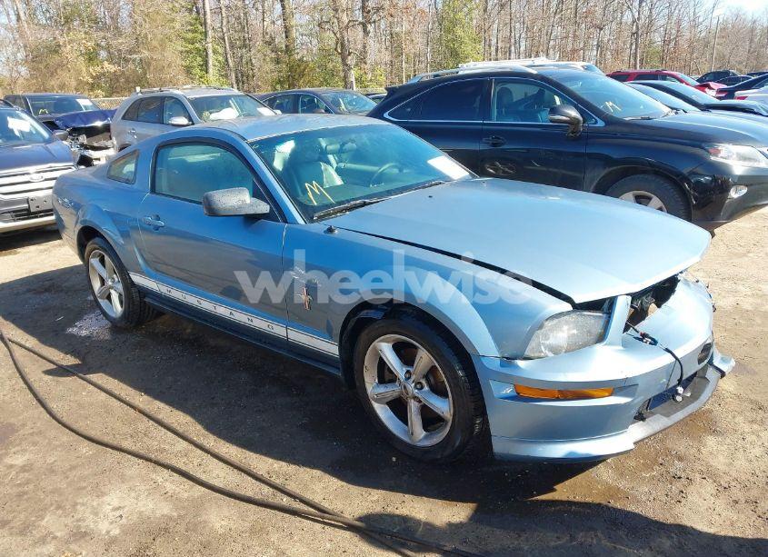 2006 Ford Mustang V6 (VIN 1ZVHT80N465199499) main photo