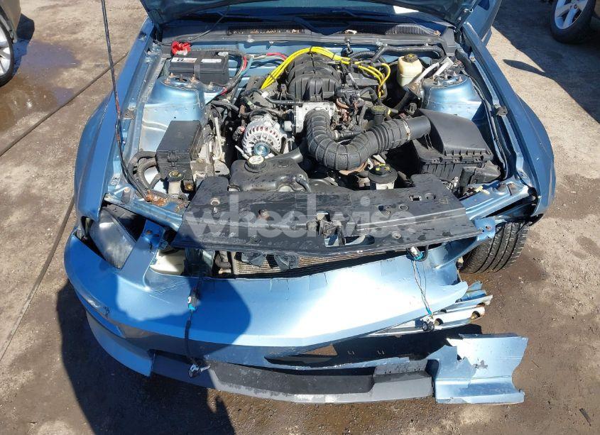 Photo 10 of 2006 Ford Mustang V6 (VIN 1ZVHT80N465199499)