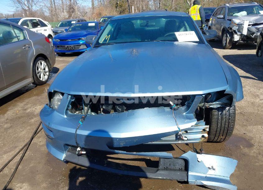 Photo 12 of 2006 Ford Mustang V6 (VIN 1ZVHT80N465199499)