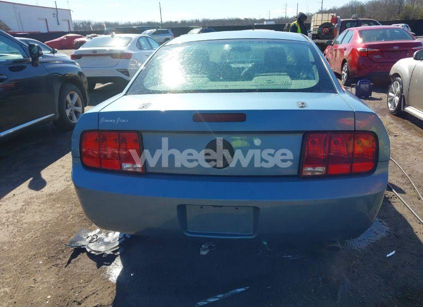 Photo 16 of 2006 Ford Mustang V6 (VIN 1ZVHT80N465199499)